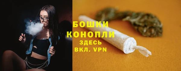 прущие грибы Ветлуга