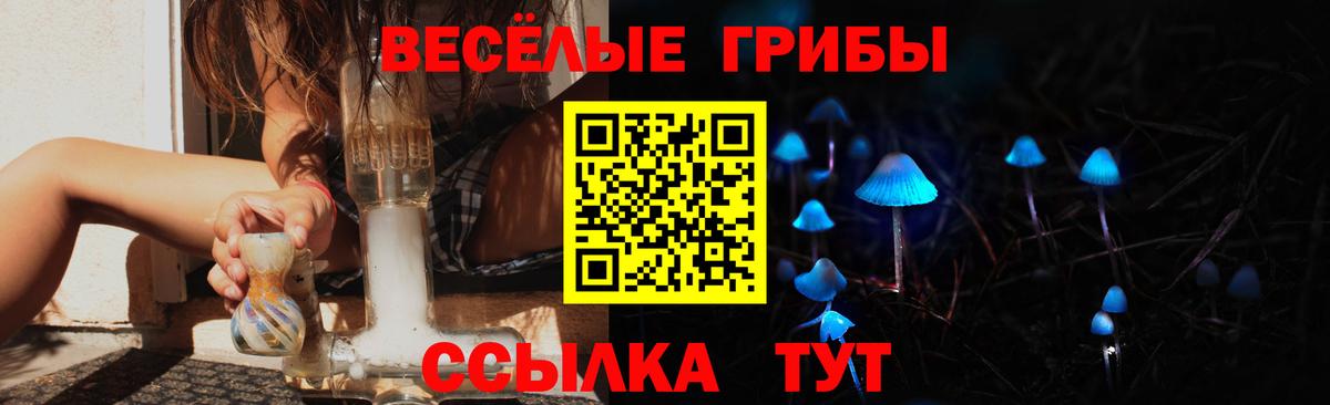 Псилоцибиновые грибы GOLDEN TEACHER  Вход с VPN  Камышлов 